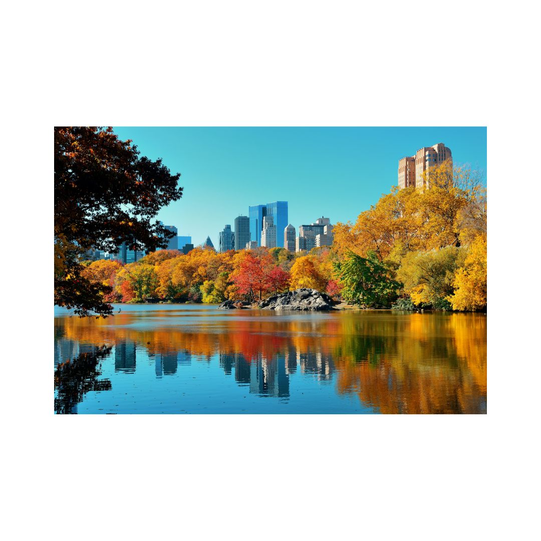 Central Park