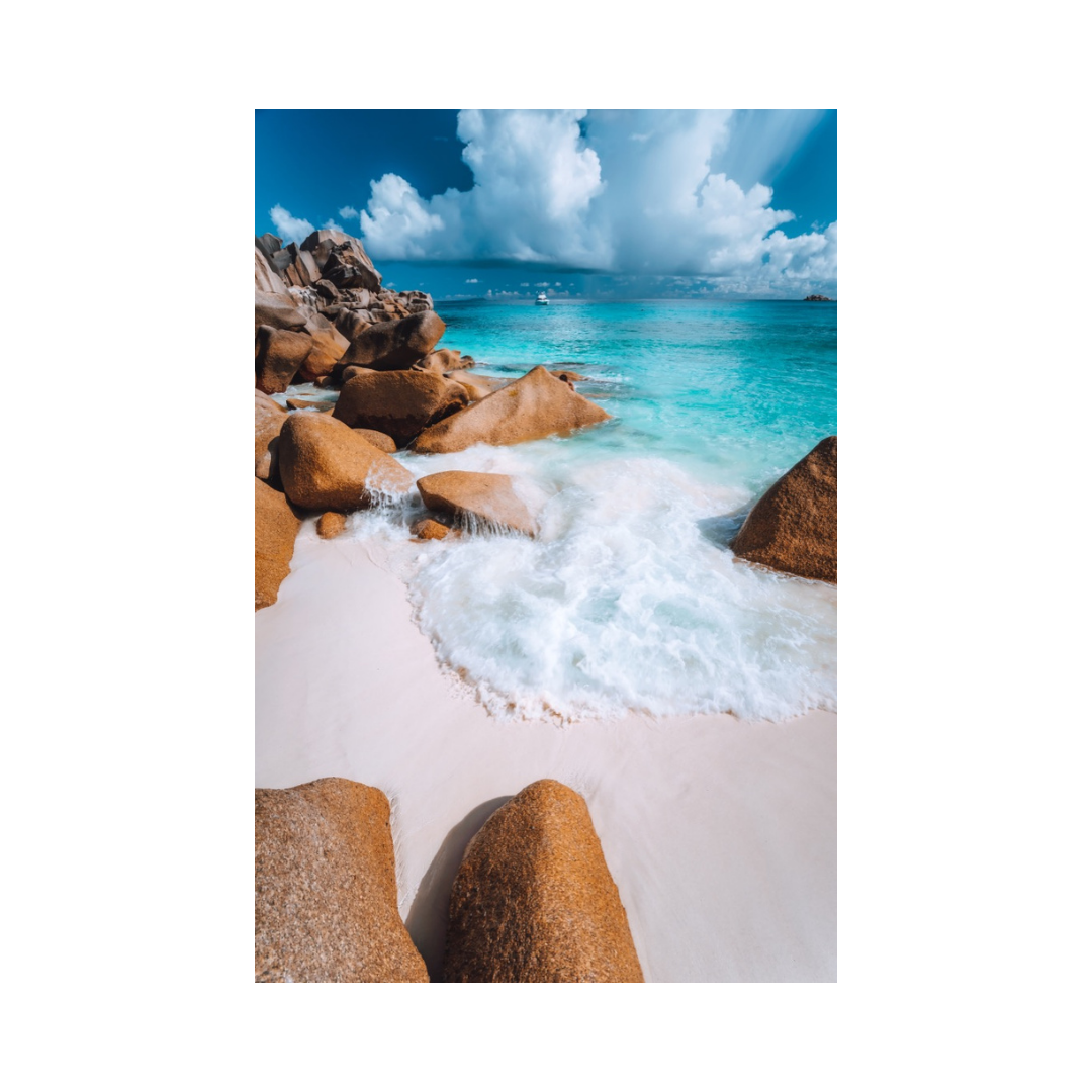 Fresh Coast