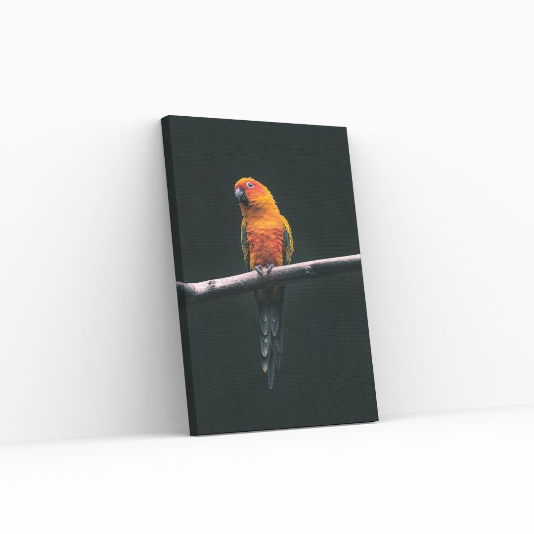 El Perico