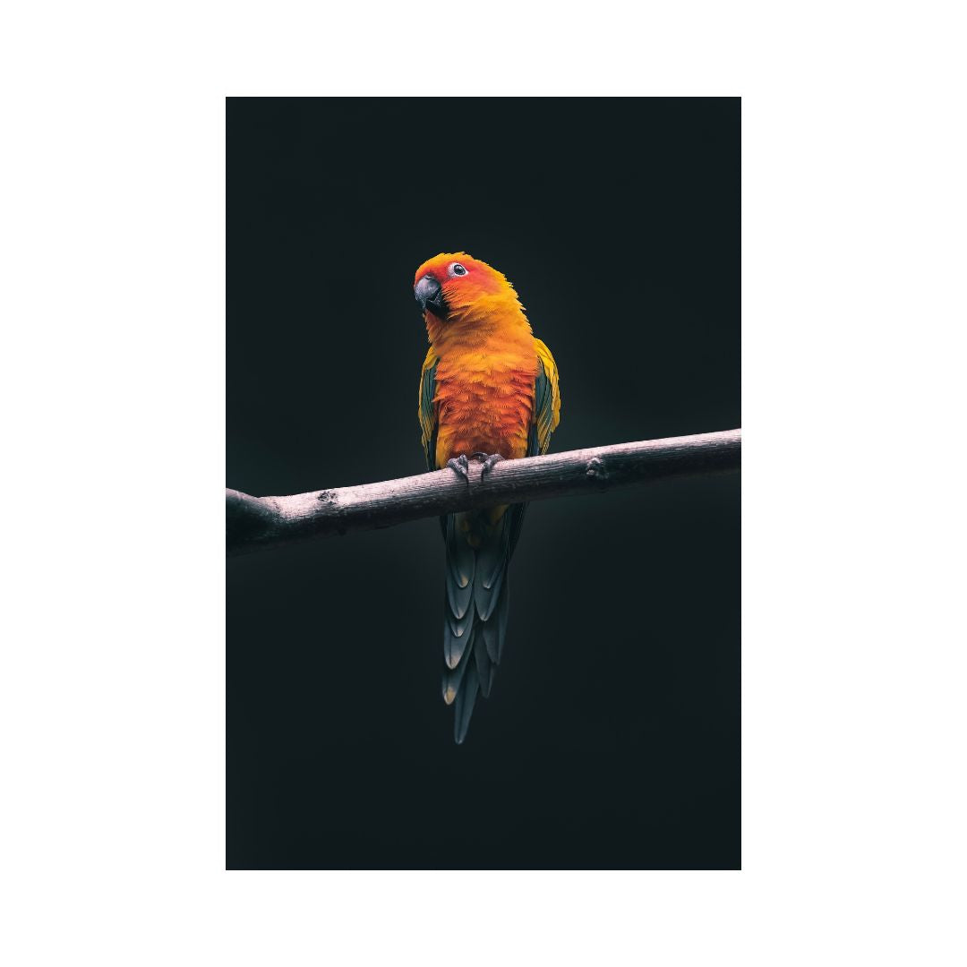 El Perico
