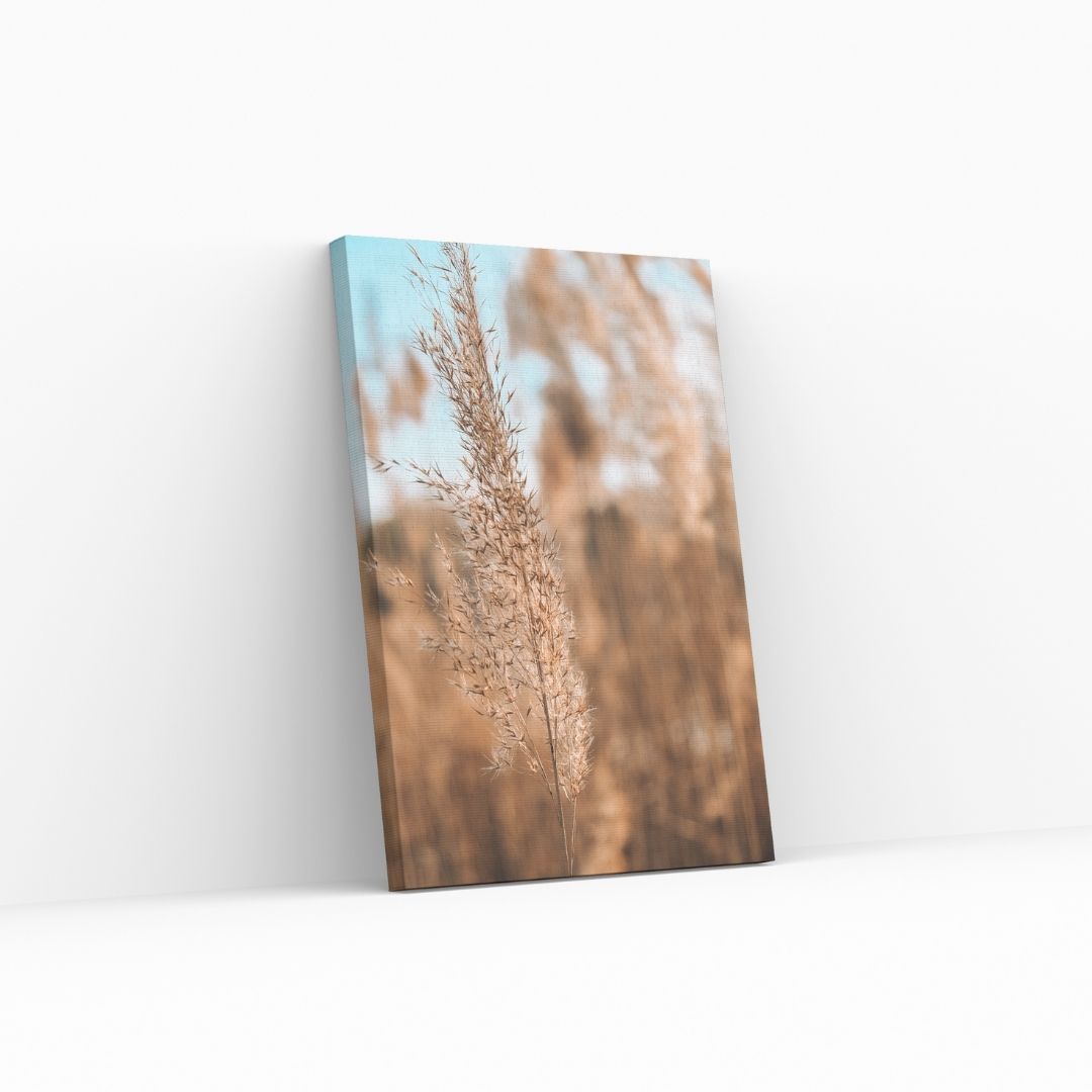Dry leaves
