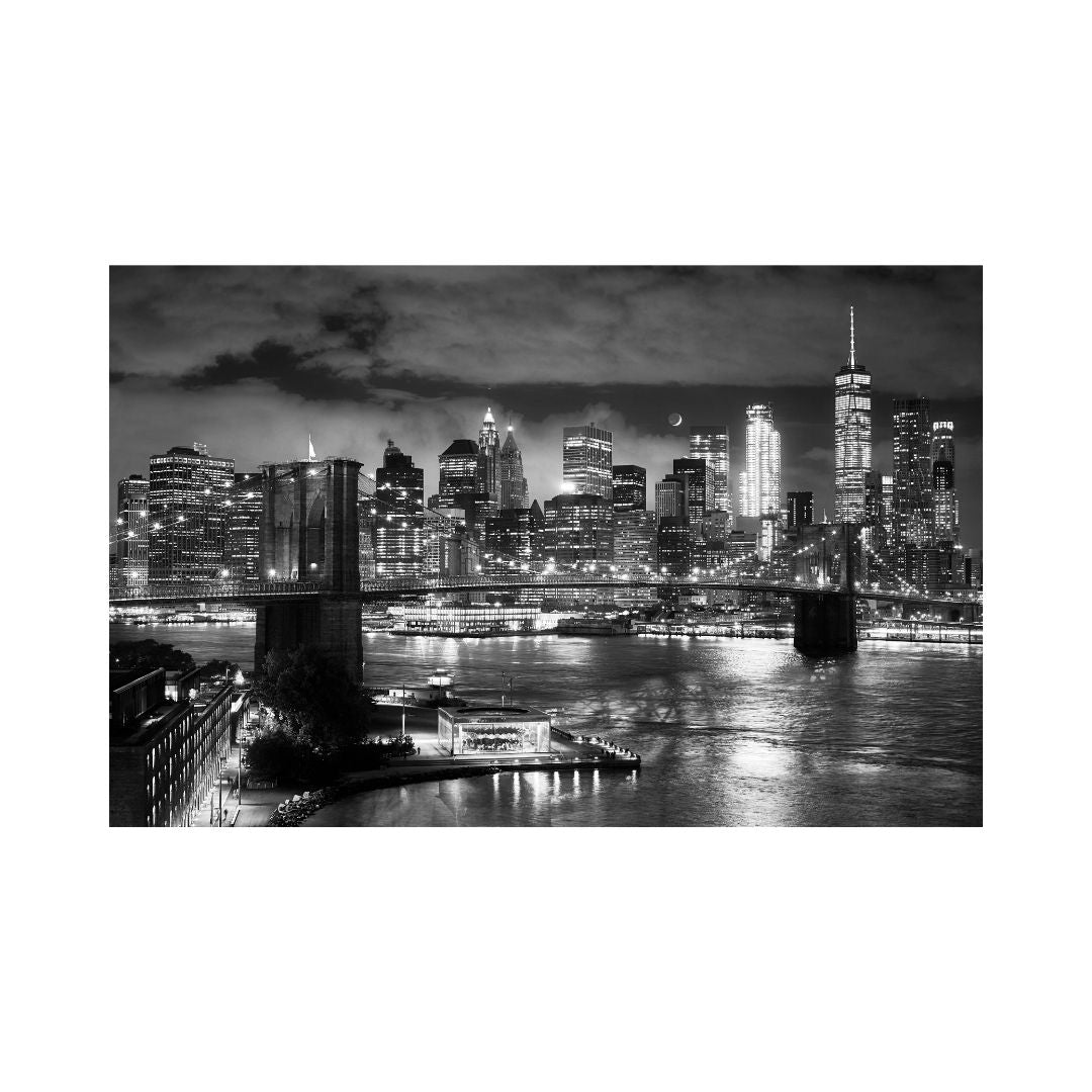 Concrete Jungle
