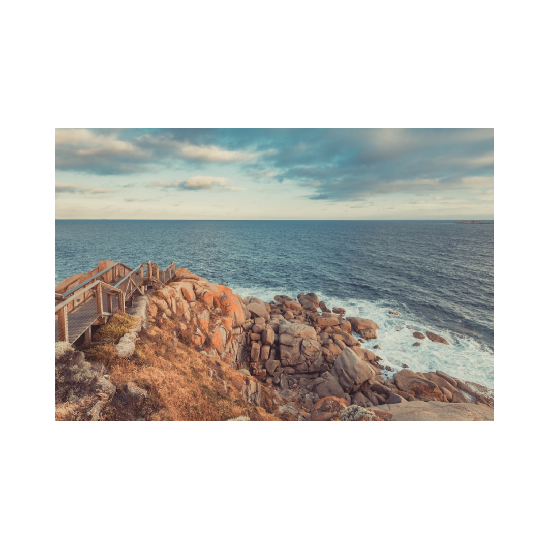 Wild Island