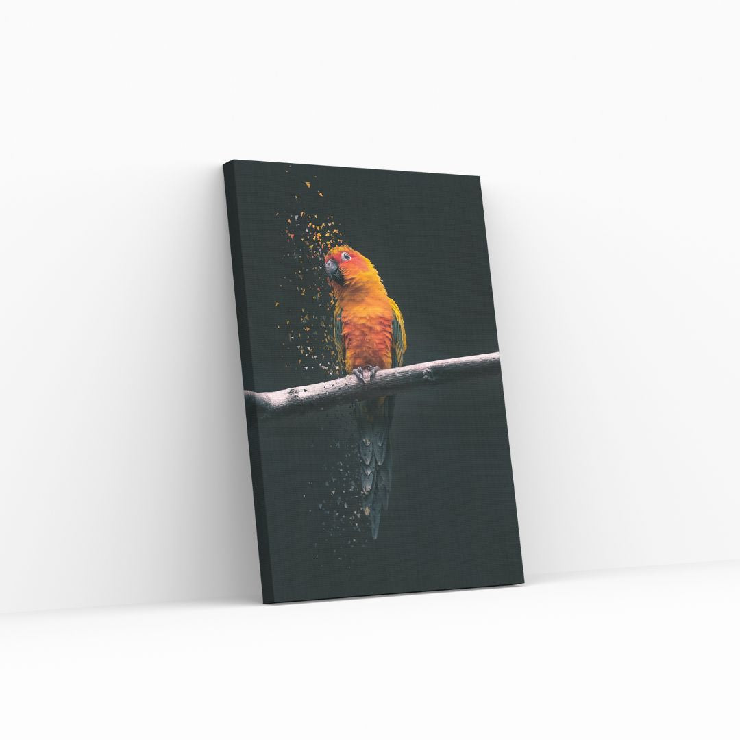 Perico Editado