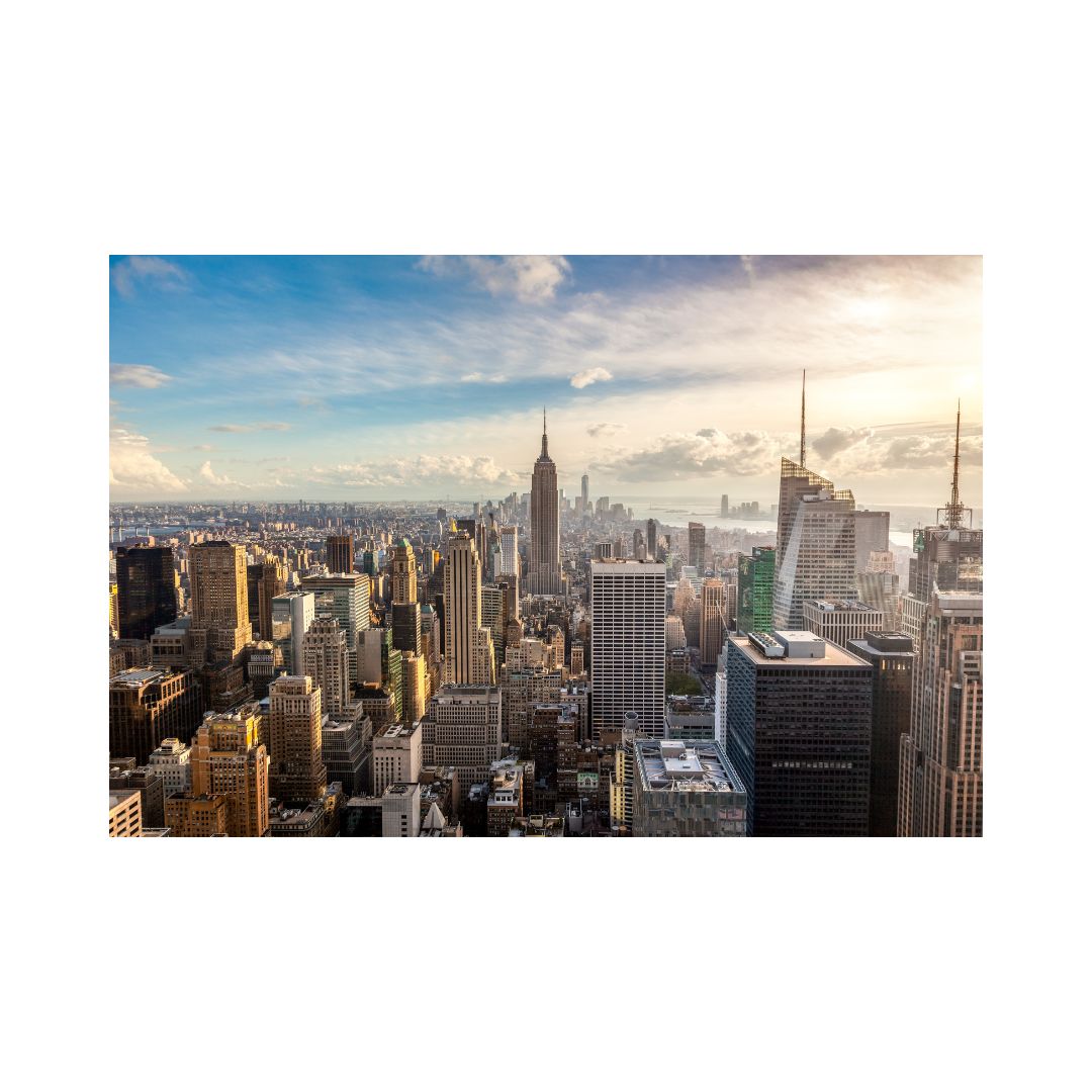 N.Y.C Landscape