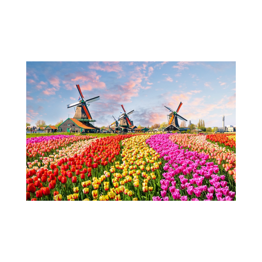 Windmills