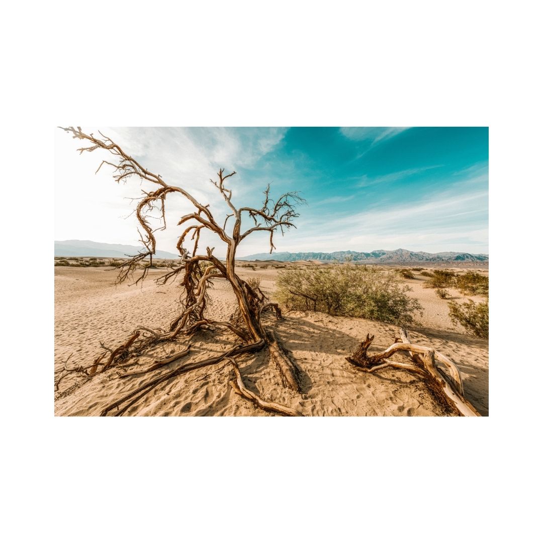 Life in the middle of nowhere