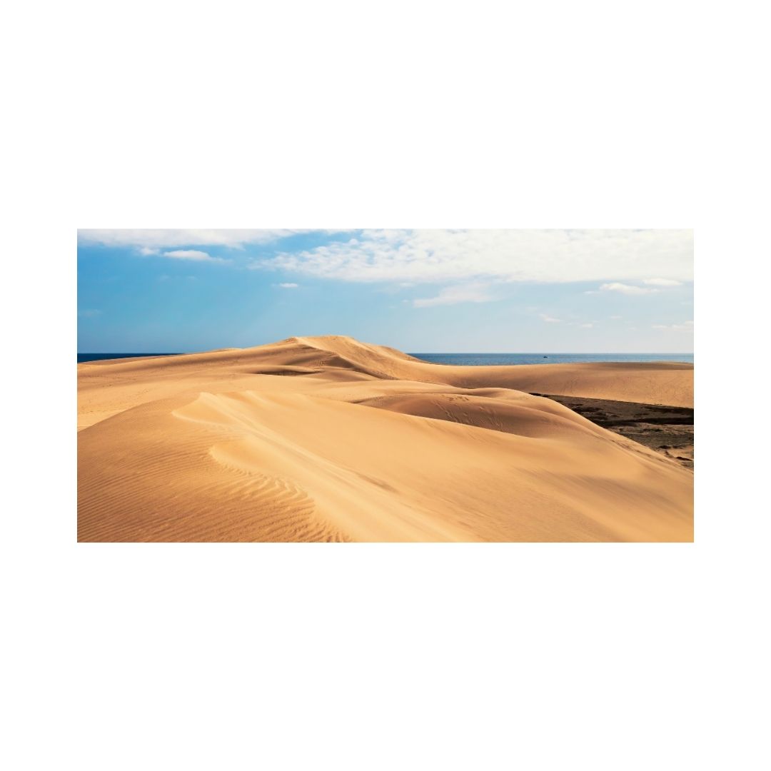 Paisaje desertico
