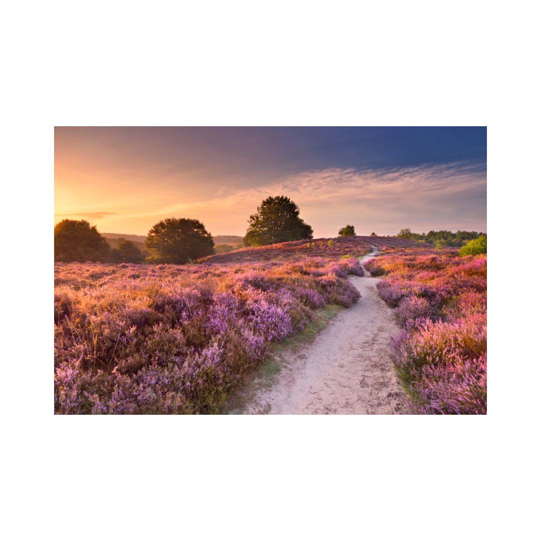 Flower Route
