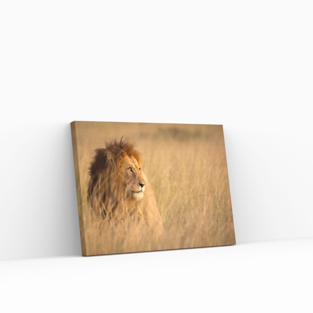 The Lion King