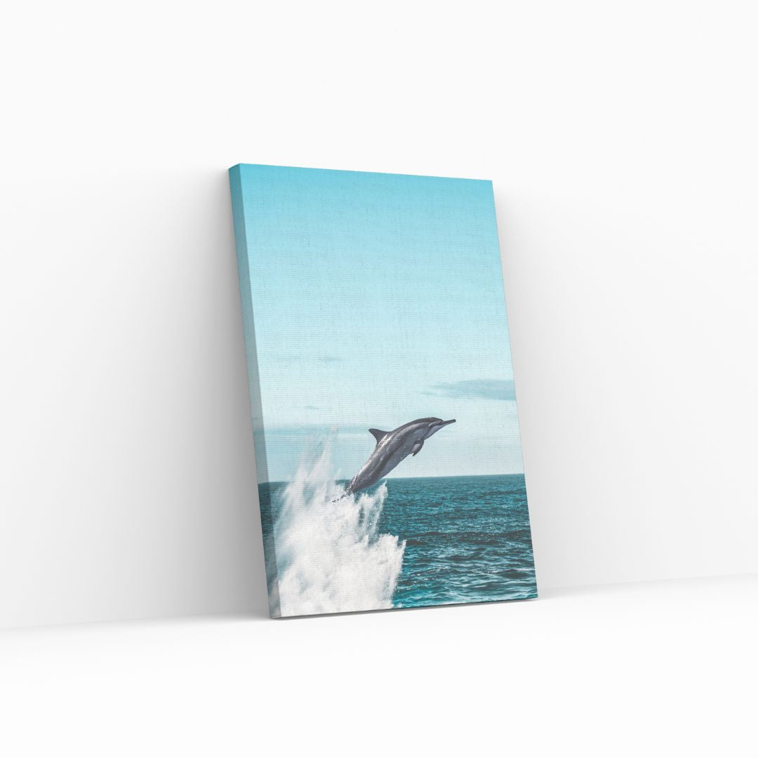 Jumpy Dolphin