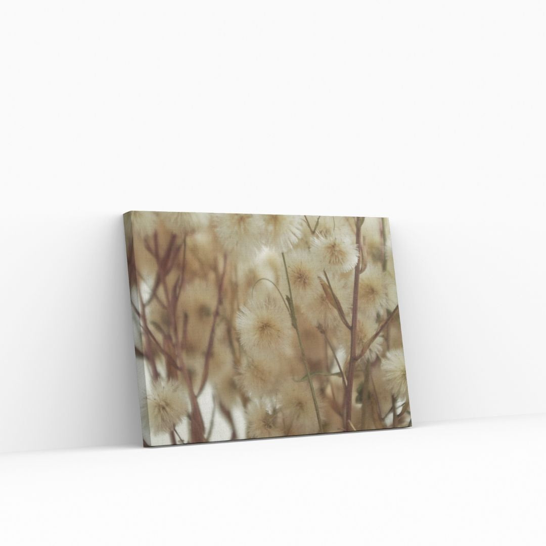 Soft beige flowers
