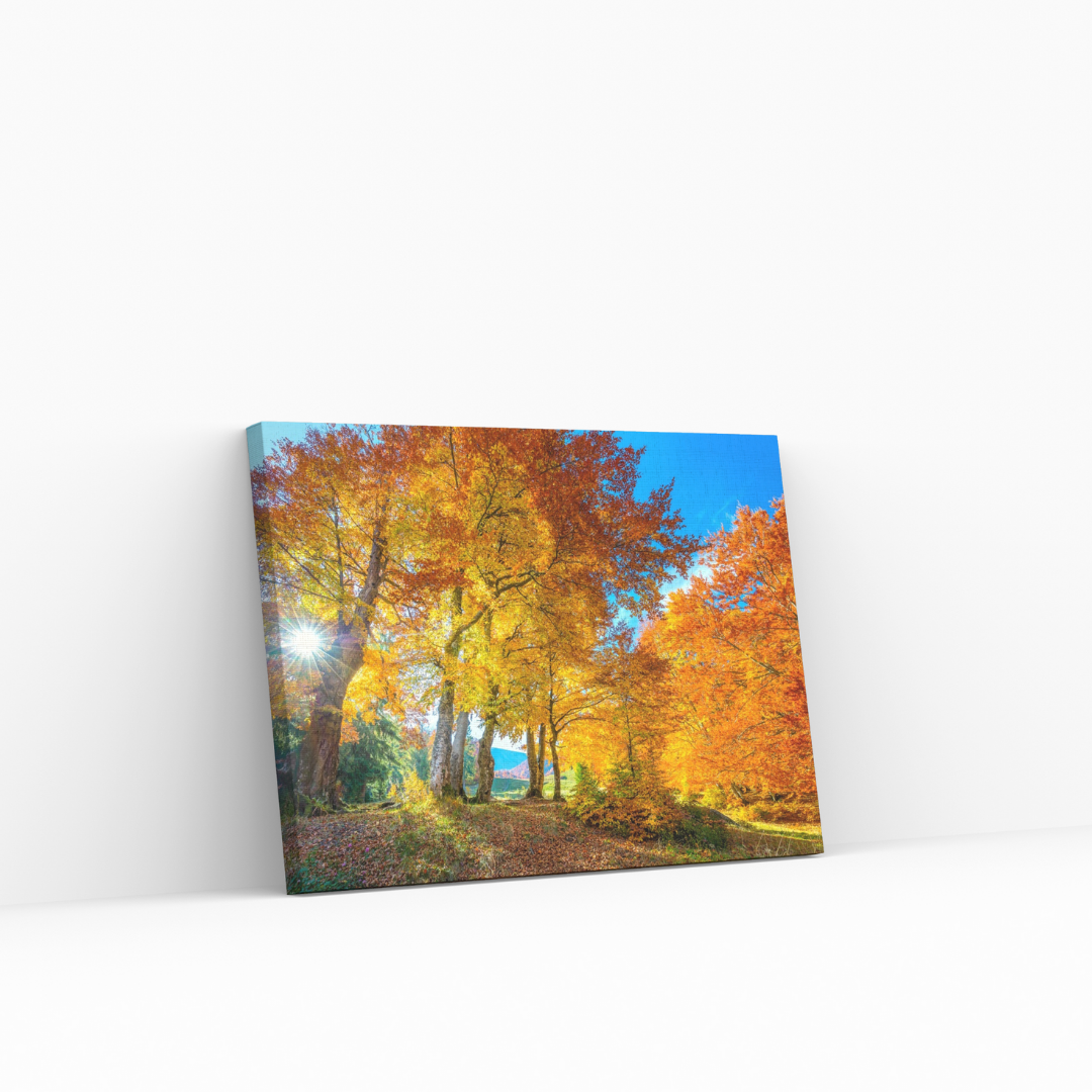 Autumn