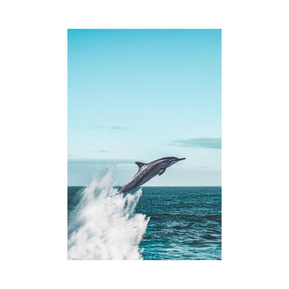 Jumpy Dolphin