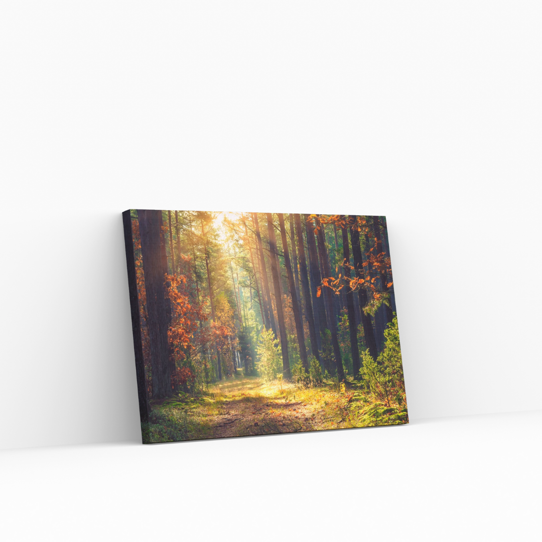 Bosque Encantado