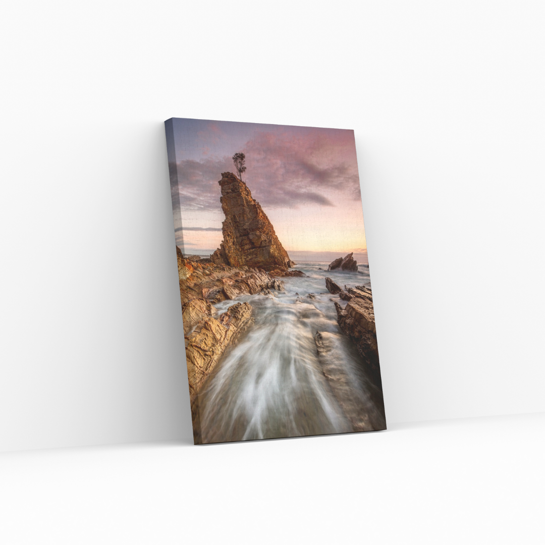 Distant Tree