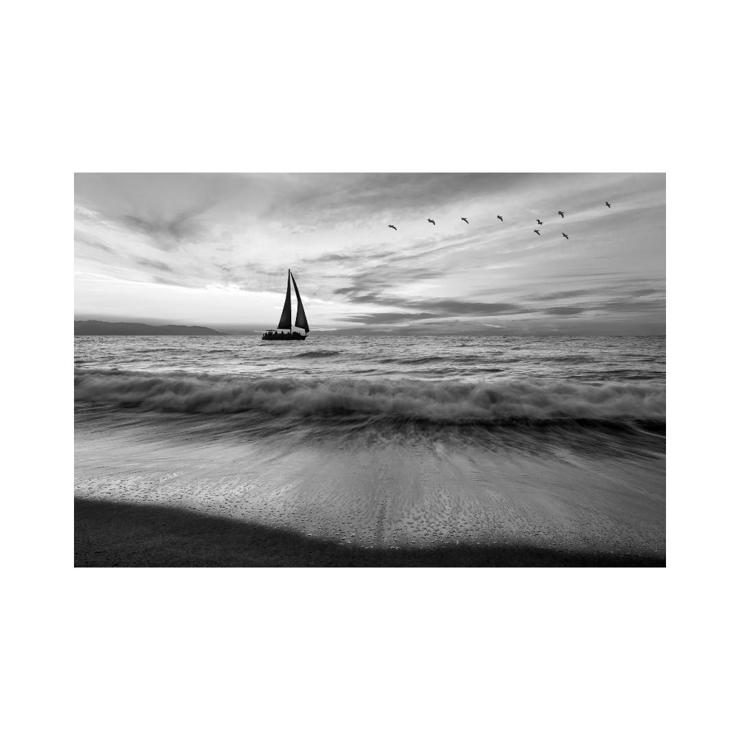 Black Ocean