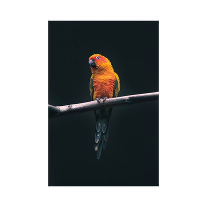 El Perico