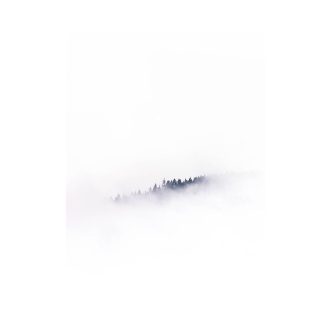 Winters Embrace