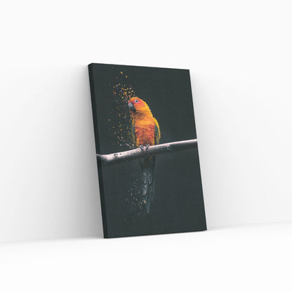 Perico Editado