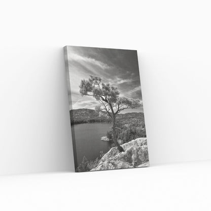 Growing Tree