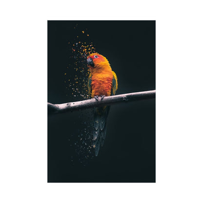 Perico Editado
