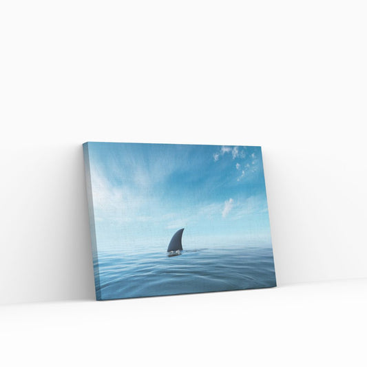 Shark Fin