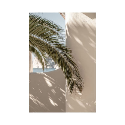 Palm tree