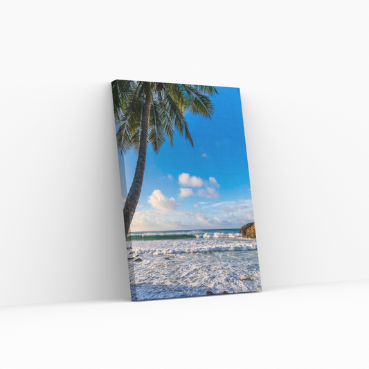 Under The Palm