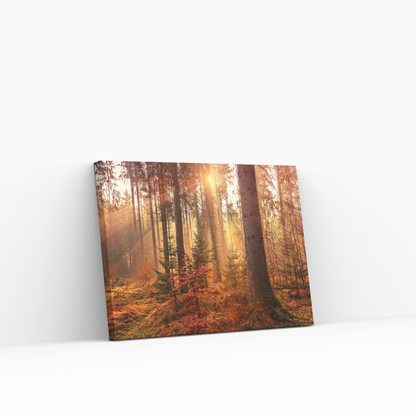Magic Forest