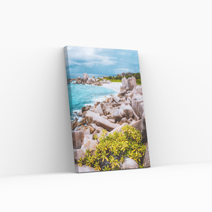 Paradise – Fotogram