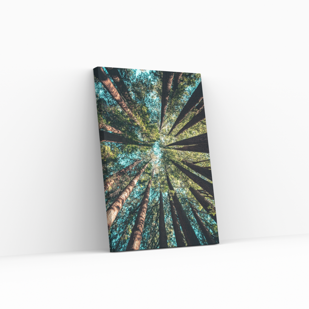 Nature Balance – Fotogram