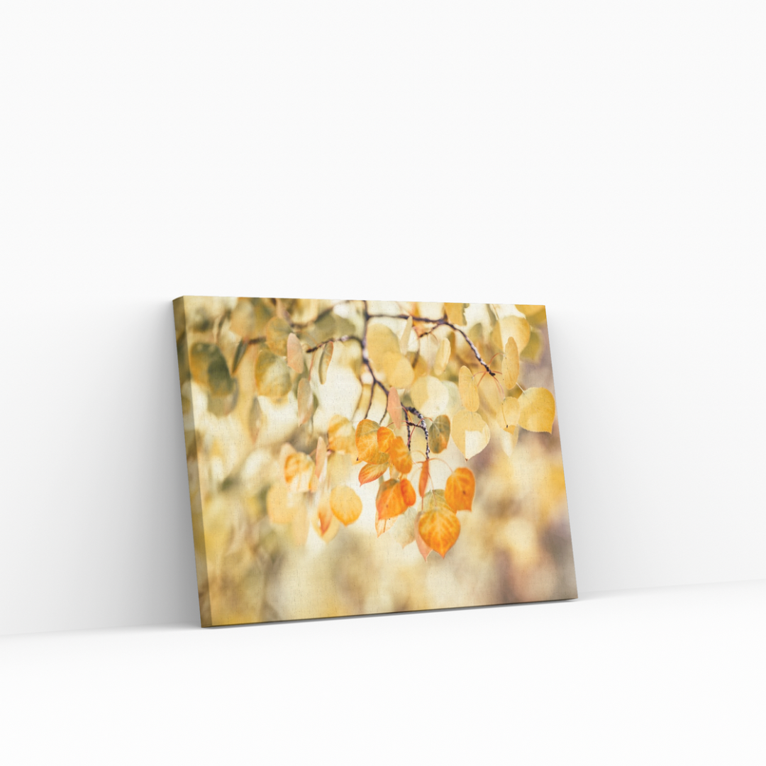 Yellow Leaf